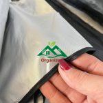 آفتابگیر چتری - Image 4